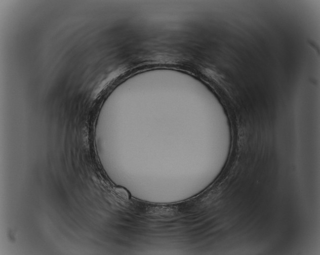 X0000100481307200807031842