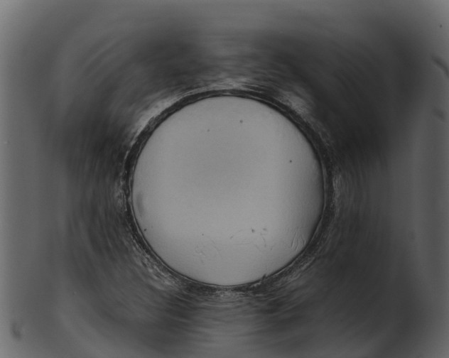 X0000100481308200807031842