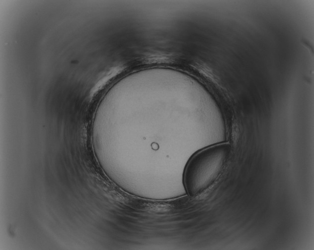 X0000100481309200807031842