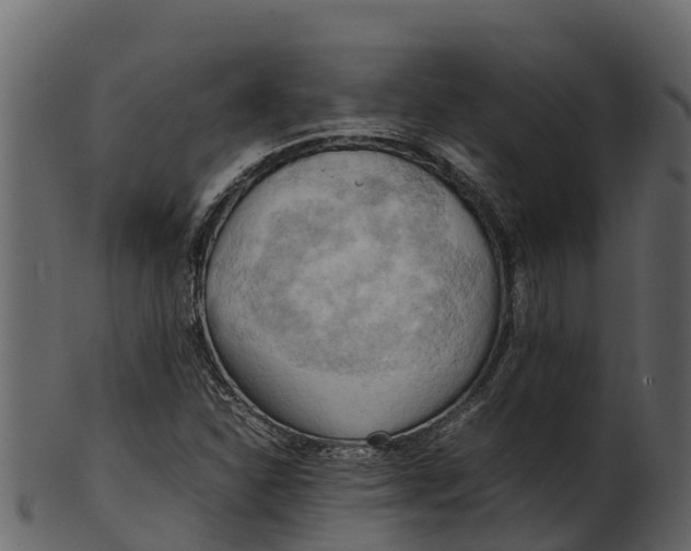 X0000100481310200807031842