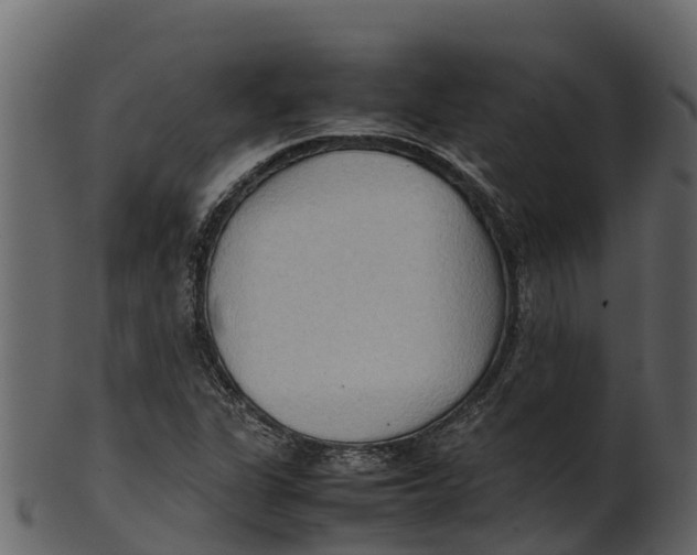 X0000100481311200807031842