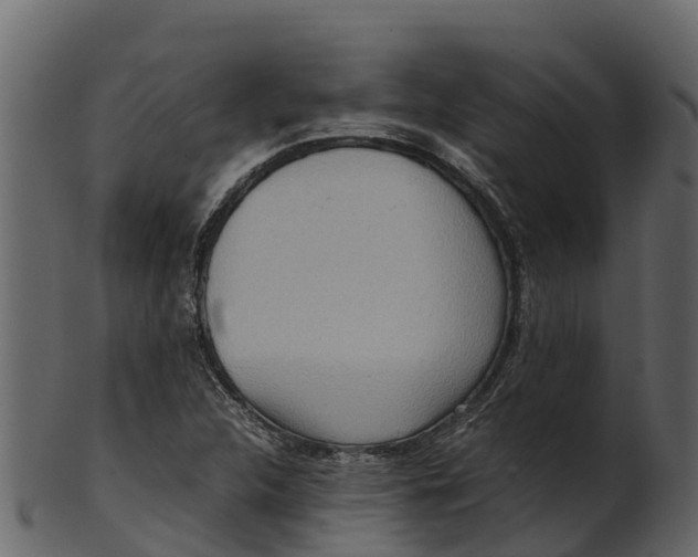 X0000100481312200807031842