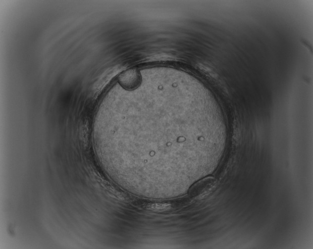 X0000100481313200807031842