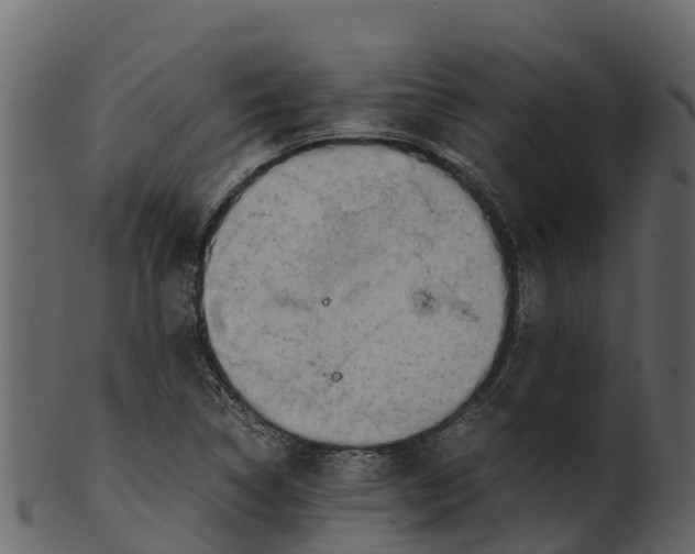 X0000100481314200807031842