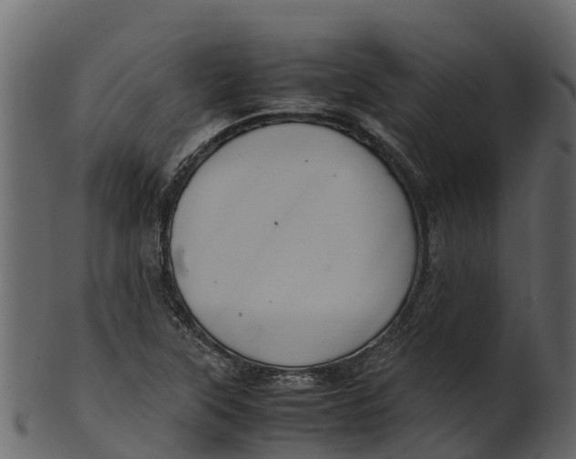 X0000100481315200807031842