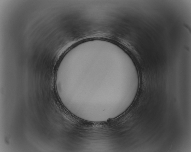 X0000100481316200807031842