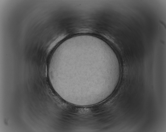 X0000100481317200807031842