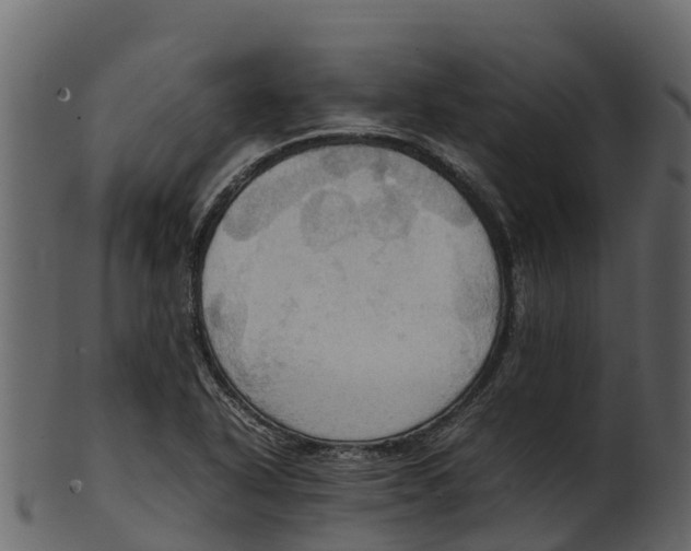 X0000100481318200807031842