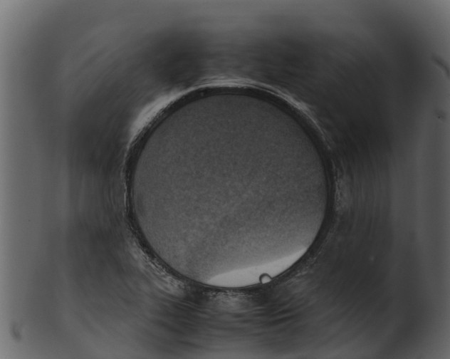 X0000100481319200807031842