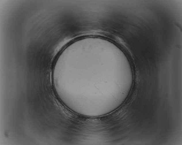 X0000100481320200807031842