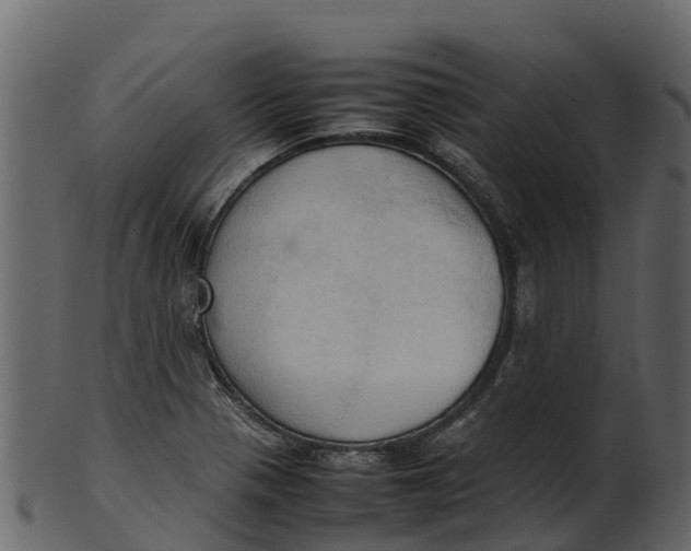 X0000100481321200807031842