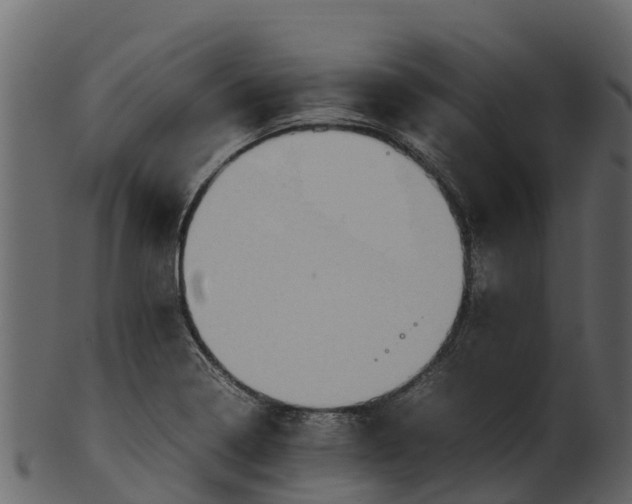 X0000100481322200807031842