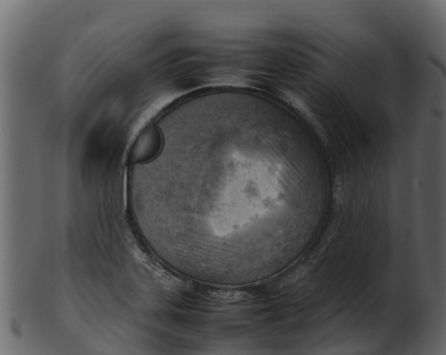 X0000100481323200807031842