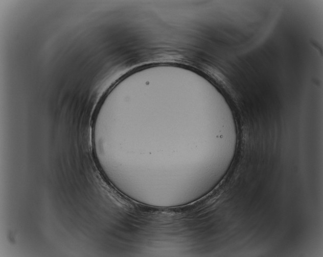 X0000100481324200807031842