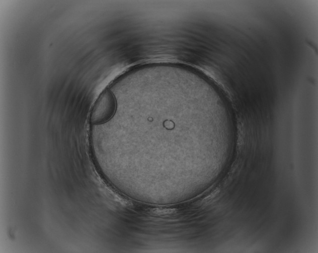 X0000100481325200807031842