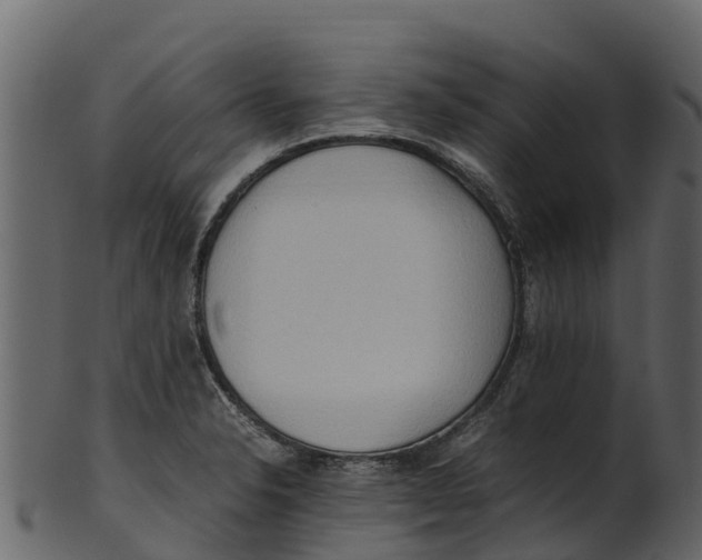 X0000100481326200807031842