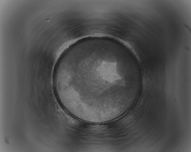 X0000100481327200807031842