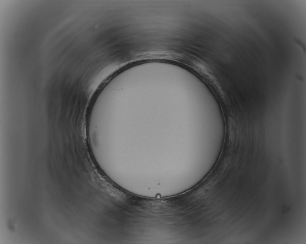 X0000100481328200807031842