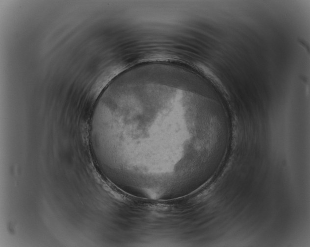 X0000100481329200807031842