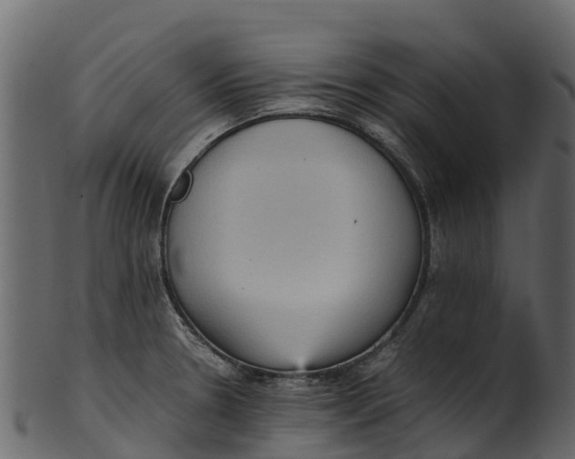 X0000100481330200807031842