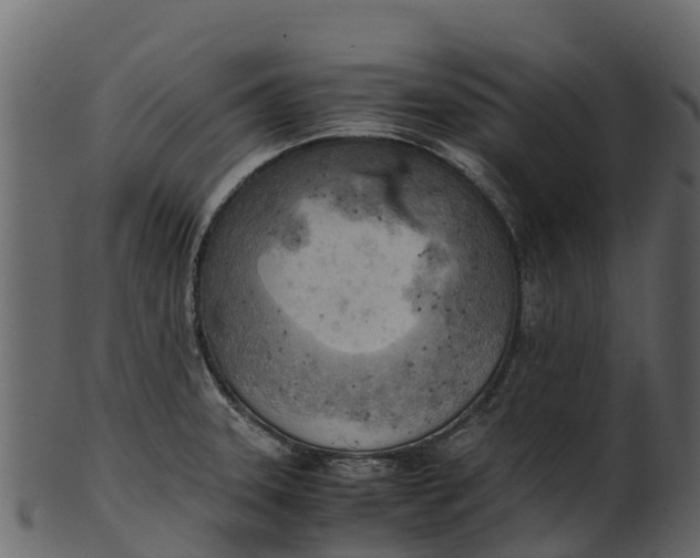 X0000100481331200807031842