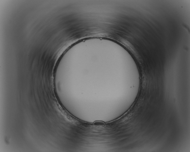 X0000100481332200807031842