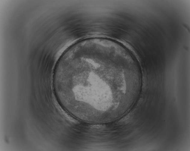 X0000100481333200807031842