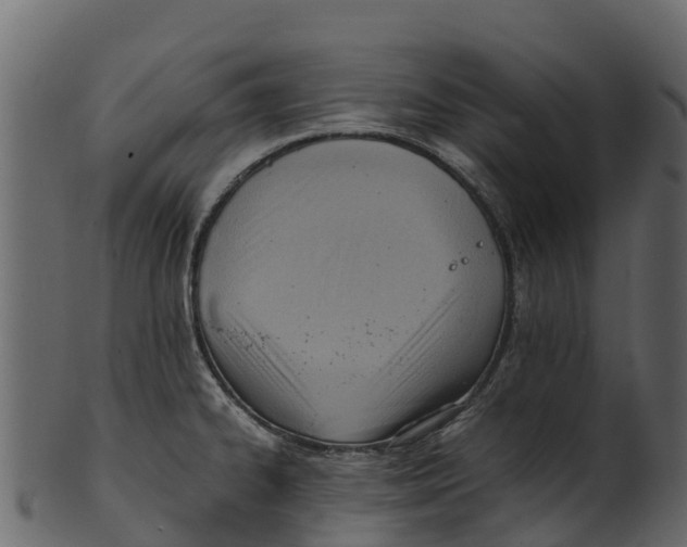 X0000100481334200807031842