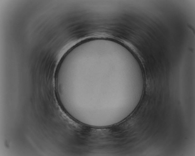 X0000100481335200807031842