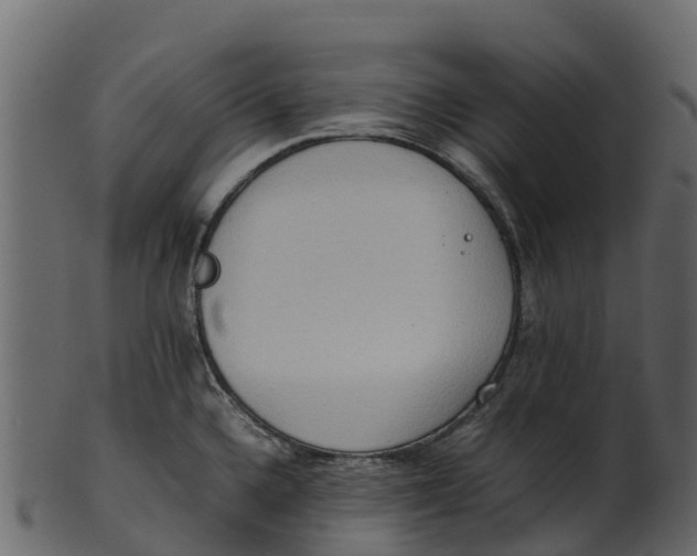 X0000100481336200807031842