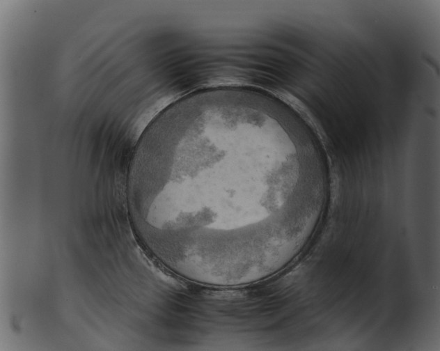 X0000100481337200807031842