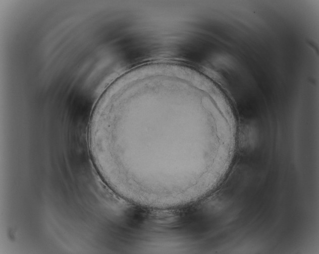 X0000100481338200807031842