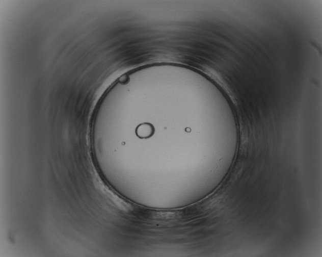 X0000100481339200807031842