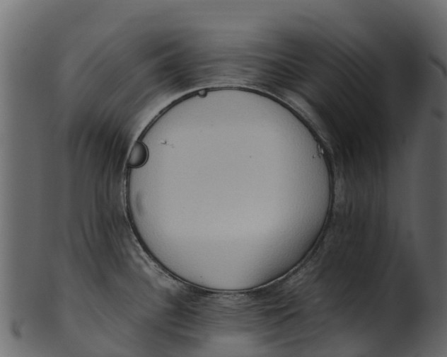 X0000100481340200807031842