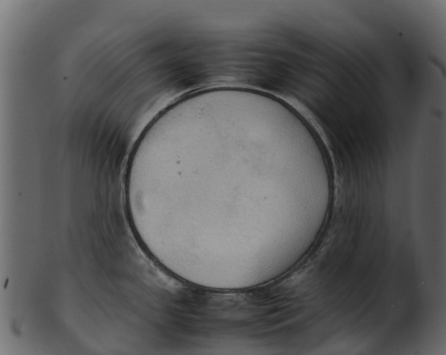 X0000100481341200807031842