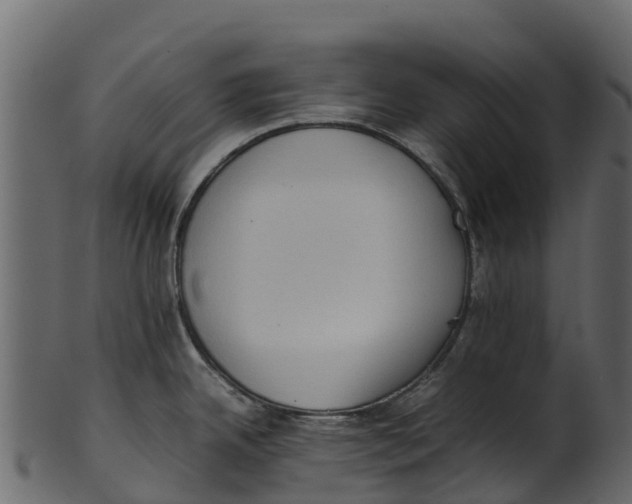 X0000100481342200807031842