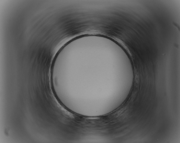 X0000100481343200807031842