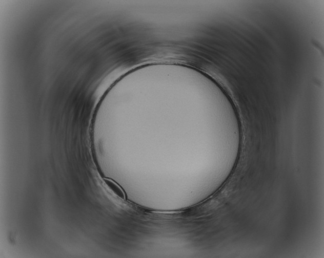 X0000100481344200807031842