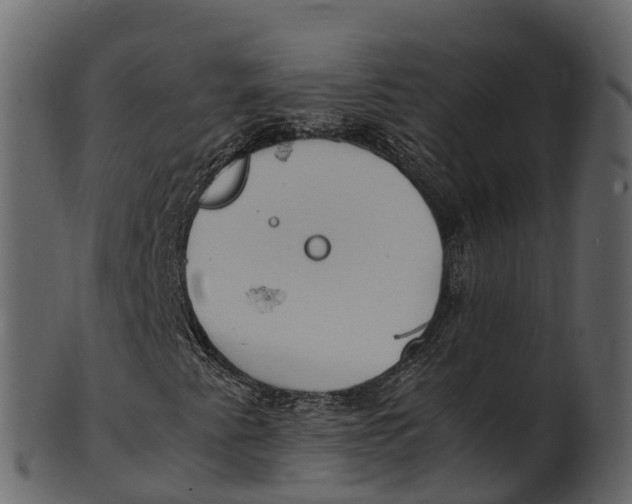 X0000100481345200807031842