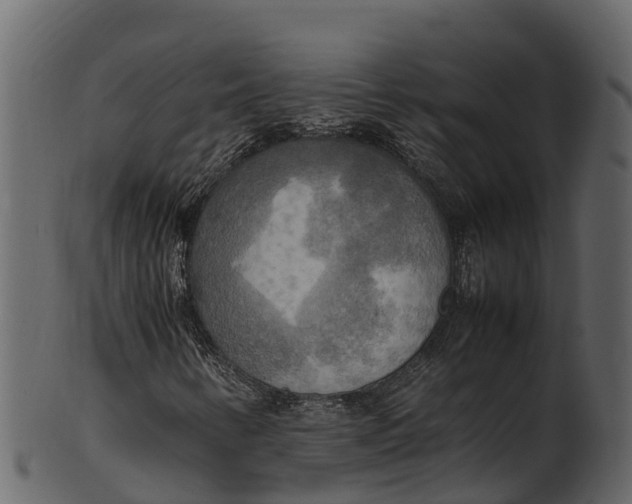 X0000100481346200807031842