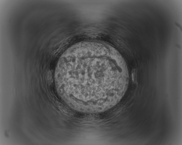 X0000100481347200807031842