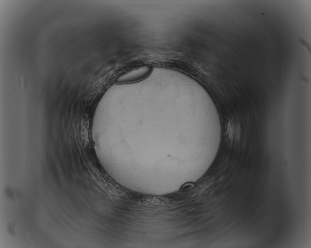 X0000100481348200807031842