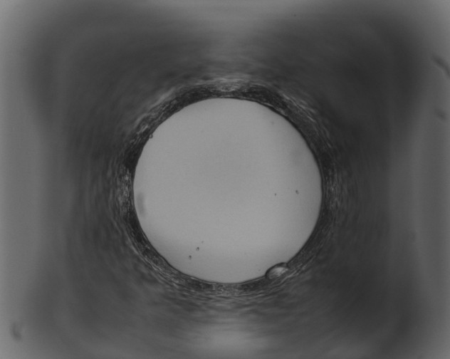 X0000100481349200807031842