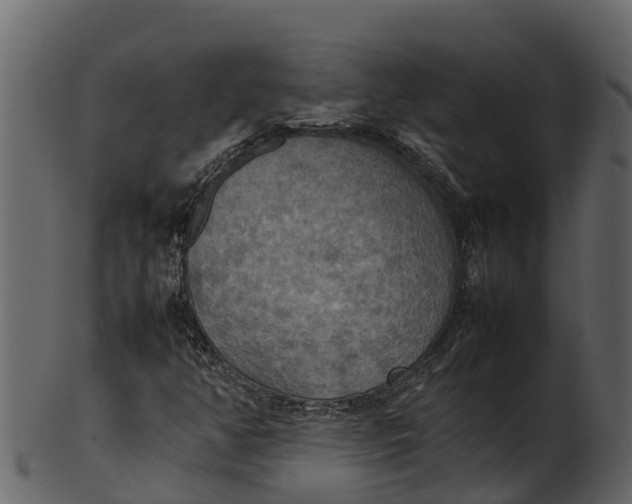 X0000100481350200807031842