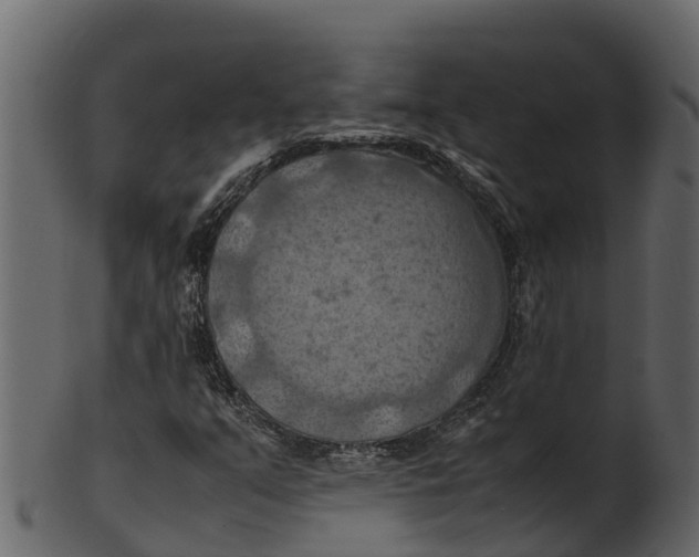 X0000100481351200807031842