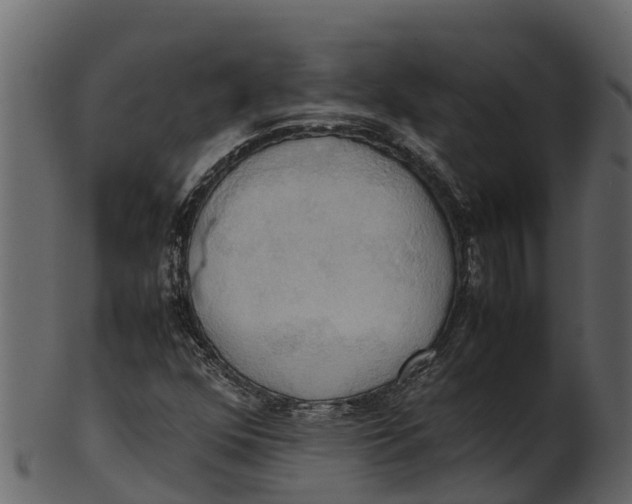 X0000100481352200807031842