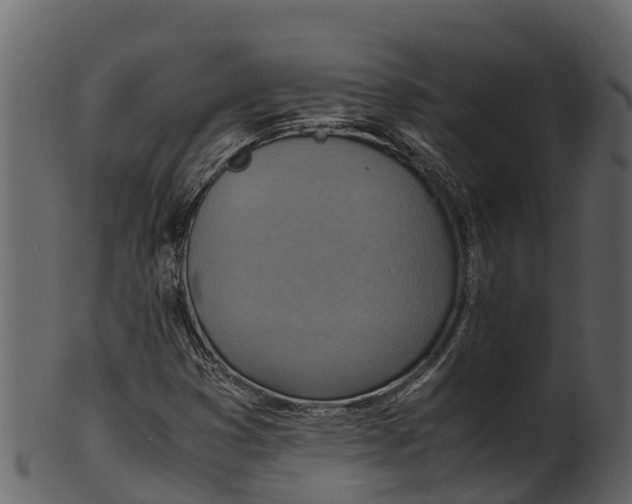 X0000100481353200807031842