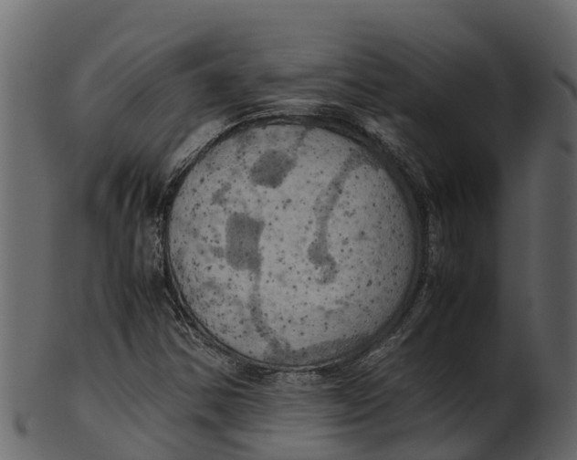 X0000100481354200807031842