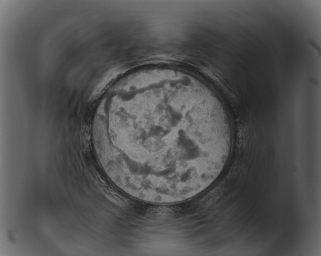 X0000100481355200807031842