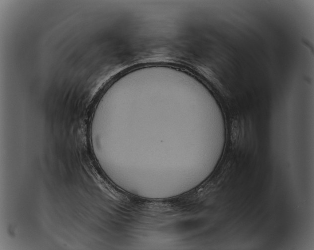 X0000100481356200807031842